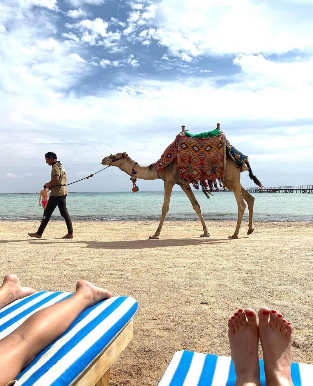 Romance Regency Club (Adults Only) Charm el-Cheikh Extérieur photo